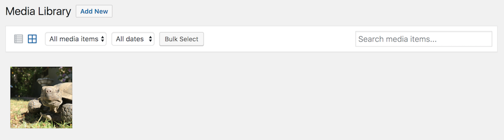 Image showing WordPress Image list with newly uploaded image